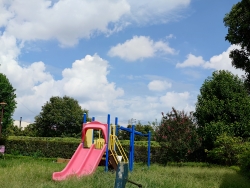 夏の虫を探しに昼間散歩